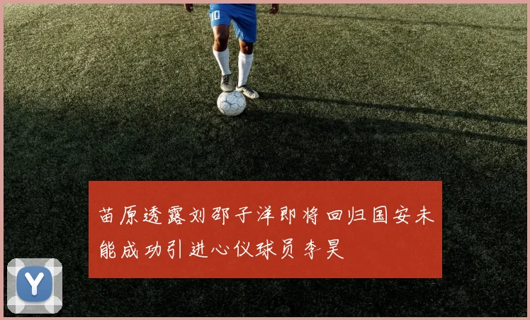 苗原透露刘邵子洋即将回归国安未能成功引进心仪球员李昊